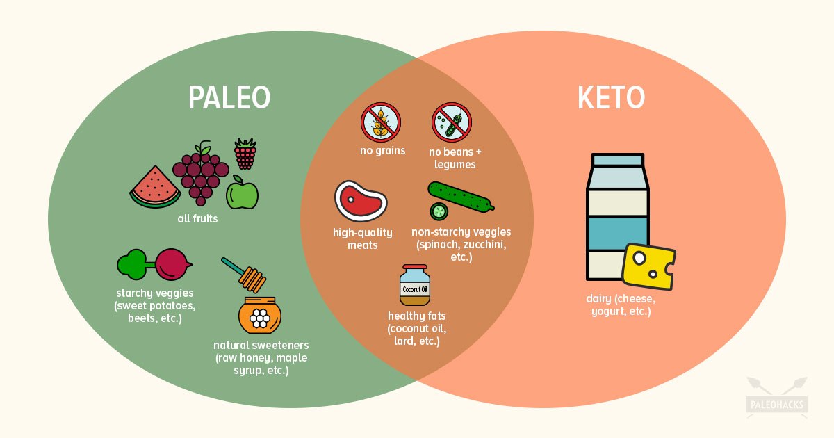Paleo vs Keto: Which Low-Carb Diet Fits Your Lifestyle?