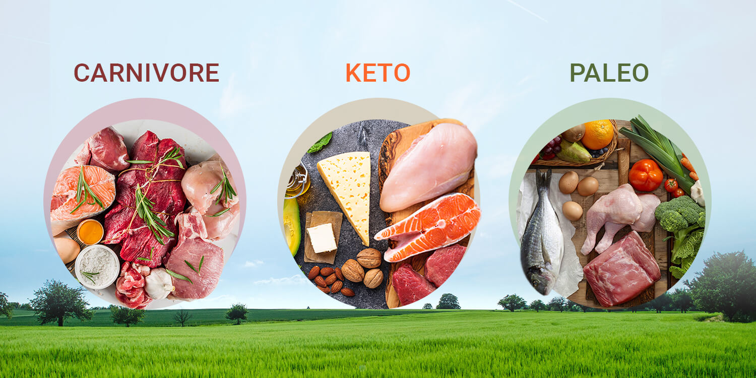 Paleo vs. Keto