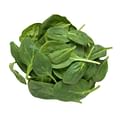 fresh spinach leaves