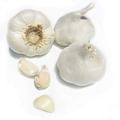 garlic cloves