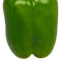 green bell pepper