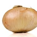 yellow onion
