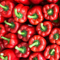 red bell pepper