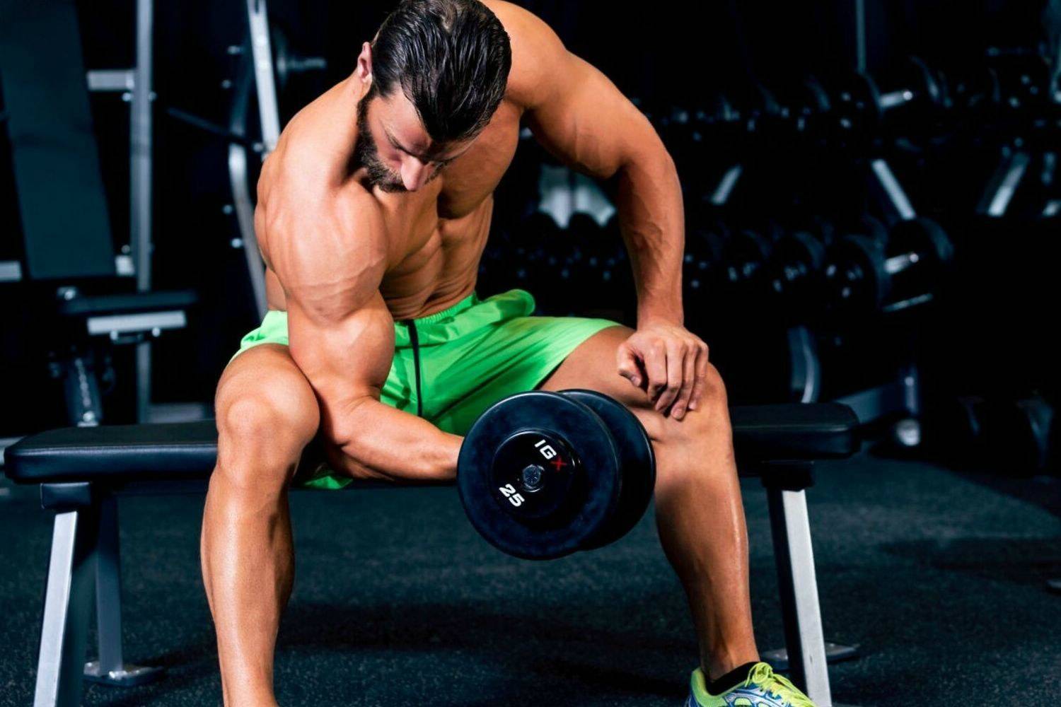 Muscle recovery paleo protein