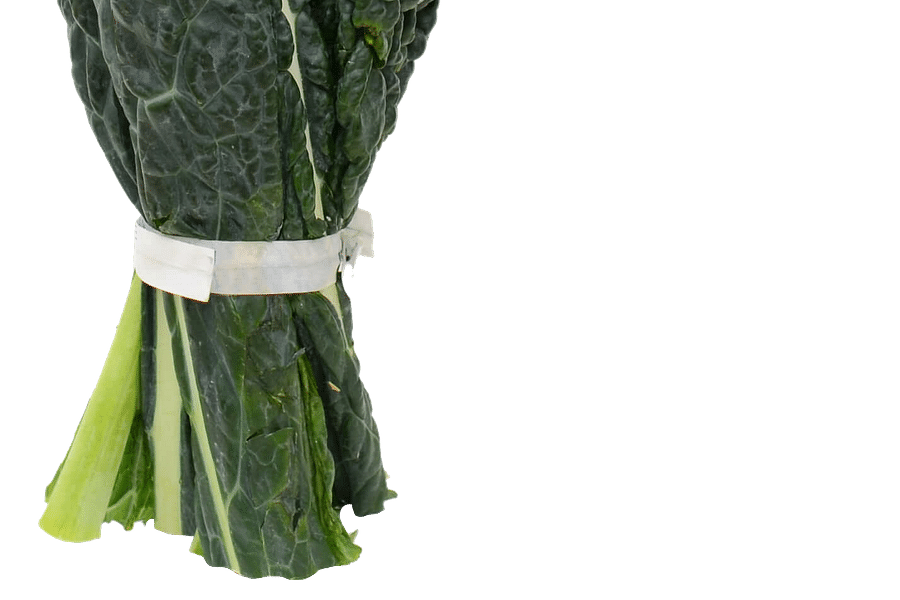 organic kale