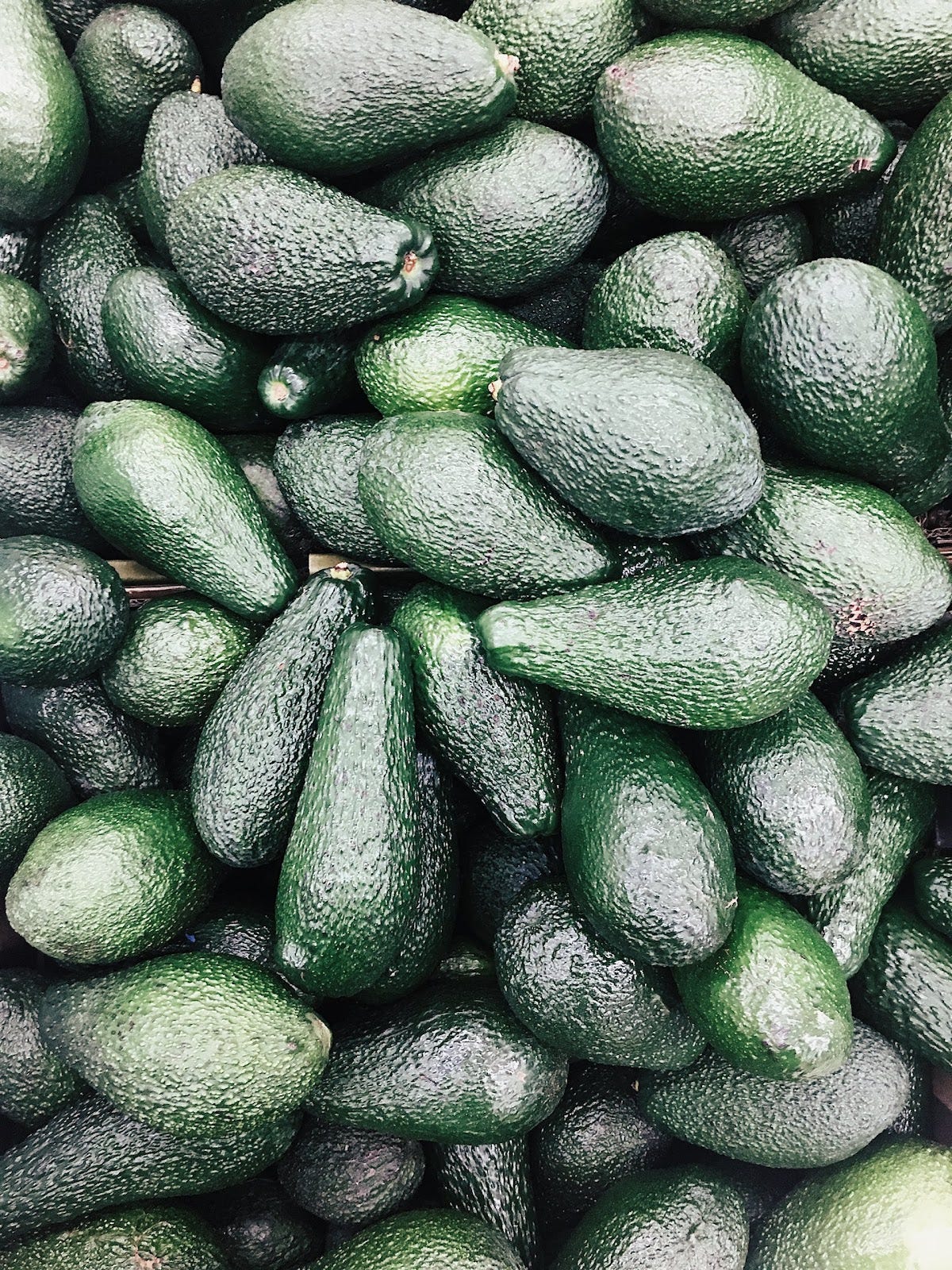 avocado nutrients