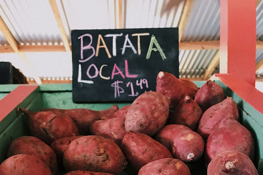 sweet potatoes beta-carotene